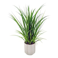 Ty Pennington Grass in Ceramic Pot, 30"