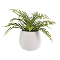 Fern Arrangement in White Ceramic Pot, 12"