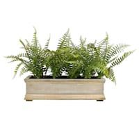 Fern Arrangement in Wood Planter, 11"