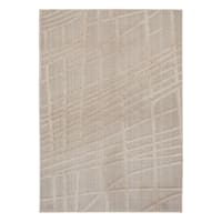 (D589) Beige Highlands Graphix Area Rug, 5x7
