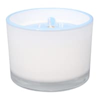 Willow Crossley Hyacinth & Wild Mint Scented Jar Candle, 12oz