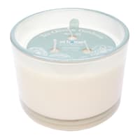 Willow Crossley Tea Olive & Gardenia Scented Jar Candle, 12oz