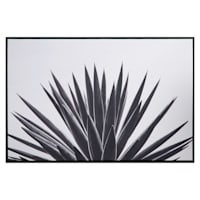 Tracey Boyd Framed Aloe Canvas Wall Art, 36x24