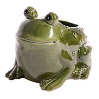 Honeybloom Indoor Green Ceramic Frog Pot, Medium