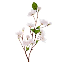 Willow Crossley Light Pink Cherry Blossom, 12"