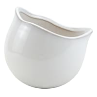 Indoor Lotus White Pot, Medium