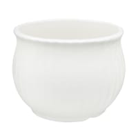 Providence Indoor White Cabbage Ceramic Pot, Medium