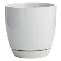 Indoor Elsie White Stoneware Ceramic Pot, Small