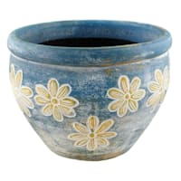 Indoor Blue Thai Pansy Clay Pot, Medium