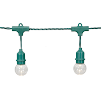 15-Count LED G40 Globe String Lights with Green Commercial Wire