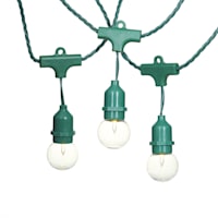 30-Count Clear G40 Globe String Lights with Green Commercial Wire