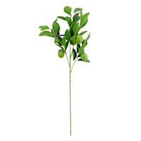 Willow Crossley Green Lime Branches, 24"