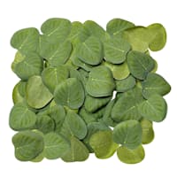 300-Count Eucalyptus Petals