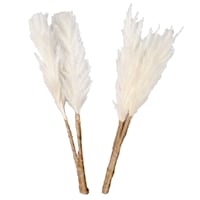 Set of 2 Cream Pampas Grass Pick, 6"
