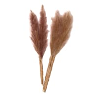 Set of 2 Tan Pampas Grass Pick, 6"
