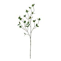 Willow Crossley Watercress Leaves Stem, 30"