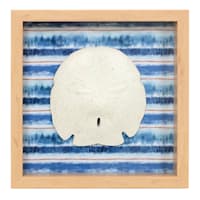 Ty Pennington Blue Framed Sand Dollar, 8"