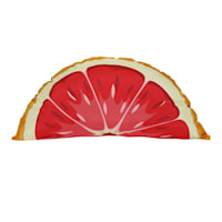 Grapefruit Slice Outdoor Throw Pillow, 14x26
