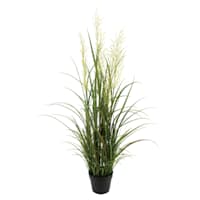 Potted Pampas Grass Bush, 45"