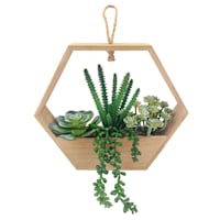 Succulent Arrangement with Wooden Box Planter, 9"