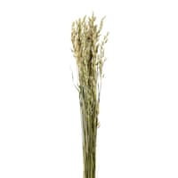 Willow Crossley Natural Oats Bundle, 26"
