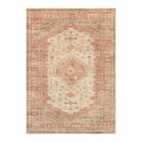 (B858) Honeybloom Rune Red Multi Area Rug, 5x7