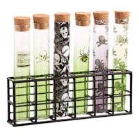 Set of 6 Test Tube Shot Glass Set