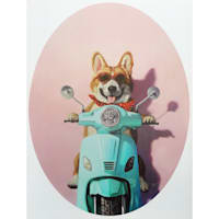 Scooter Corgi Canvas Wall Art, 16x12