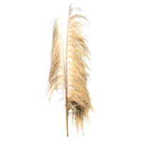 Crosby St. 3-Piece Natural Uva Stalk Bunch