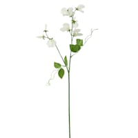 Willow Crossley White Sweet Pea Floral Stem, 23.5"