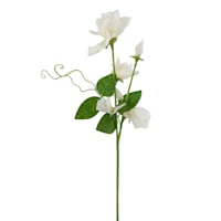 Willow Crossley White Sweet Pea Floral Pick, 12"