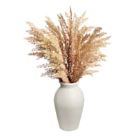 Honeybloom Brown Pampas Grass in Pot, 19"