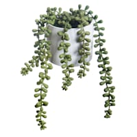 Faux String of Pearls Plant in Pot, 4"