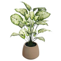Taro Leaf in Pot, 21"