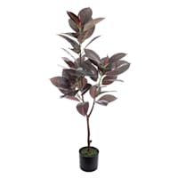 Rubber Leaf Plant in Red Pot, 44"