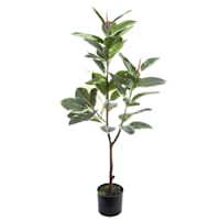 Rubber Leaf Plant in Green Pot, 44"