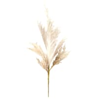 Cream Pampas Grass Bundle, 20"