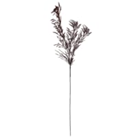 Crosby St. Maroon Pampas Grass Spray, 42"