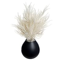 Crosby St. White Pampas Grass in Black Pot, 16"