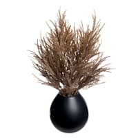 Crosby St. Brown Pampas Grass in Black Pot, 16"