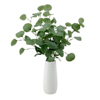 Tracey Boyd Eucalyptus in White Ceramic Pot, 24"