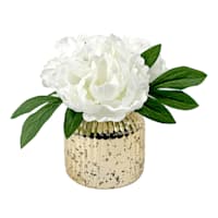 Providence White Peony in Glass Planter, 7"