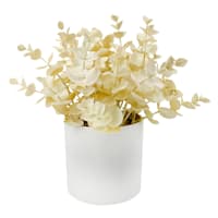 Bleached Eucalyptus in Melamine Pot, 9"