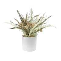 Fern in Melamine Pot, 10.5"