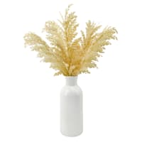 Honeybloom Pampas Grass in Ceramic Pot, 20"