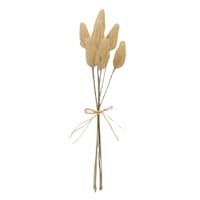 Honeybloom Cream Bunny Tail Bundle, 7"