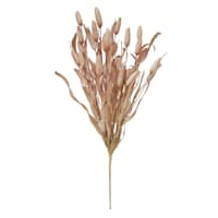 Honeybloom Tan Bunny Tail Bush, 22"