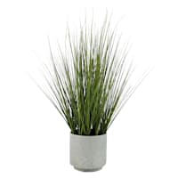 Onion Grass in Cement Pot, 31"