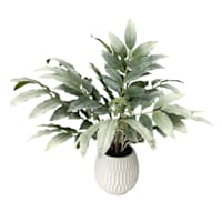 Tracey Boyd Lemon Leaves in Pot, 24"