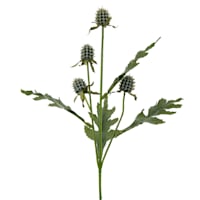 Willow Crossley Green Sea Holly Floral Pick, 12"